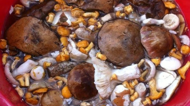 Солим бычки грибы холодным способом