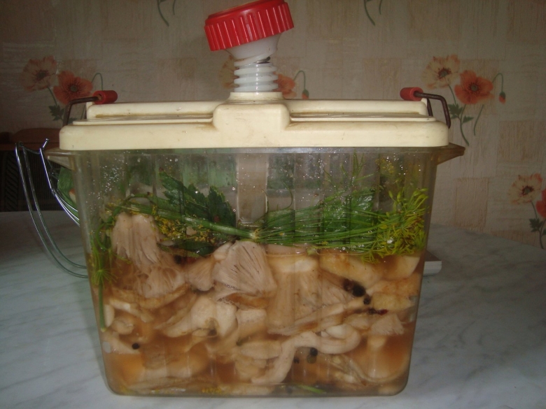 Емкости для засолки грибов с гнетом