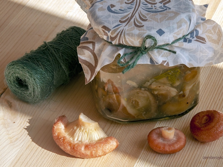 Горячая засолка грибов