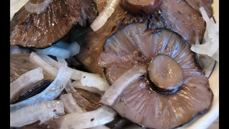 Грузди подтопольники