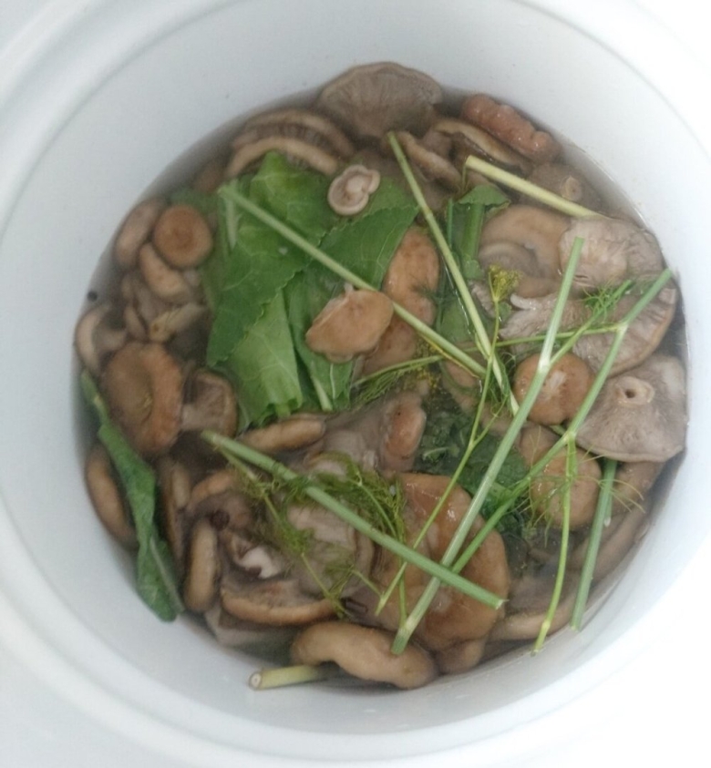 Солёные грибы