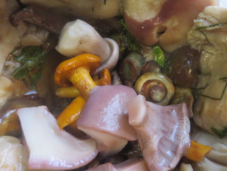 Рецепты грибов