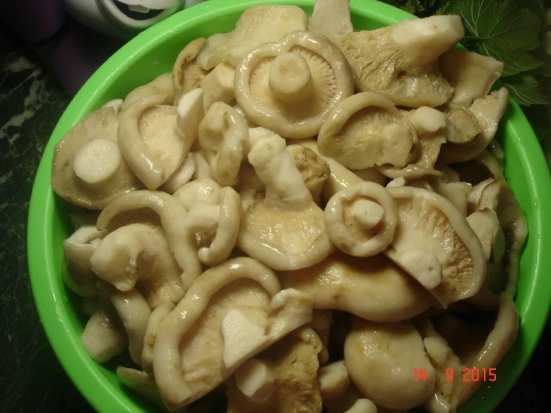 Грузди маринованные