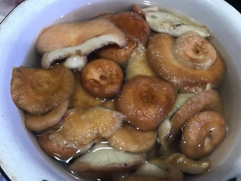 Волнушки способы приготовления