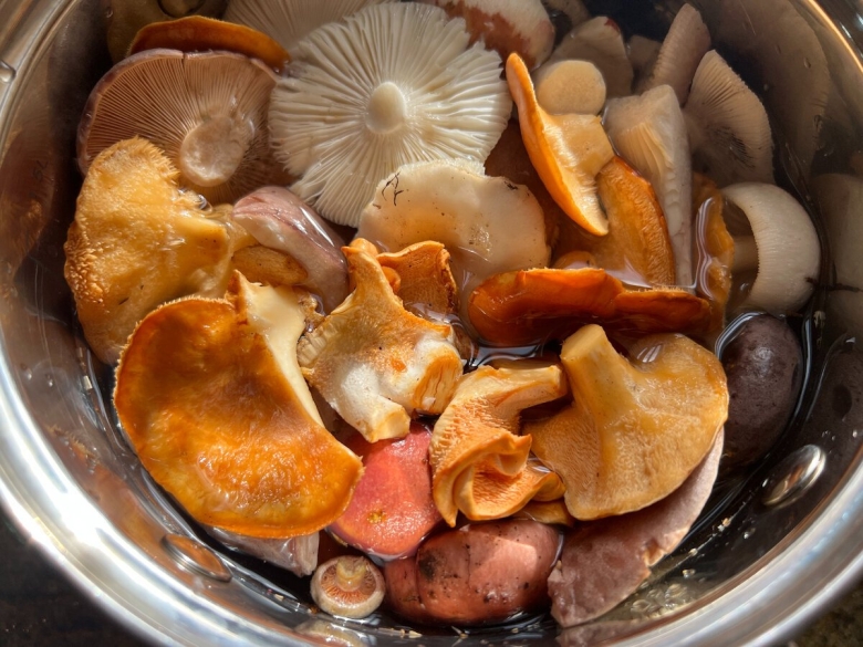 Грибы рыжики соленые