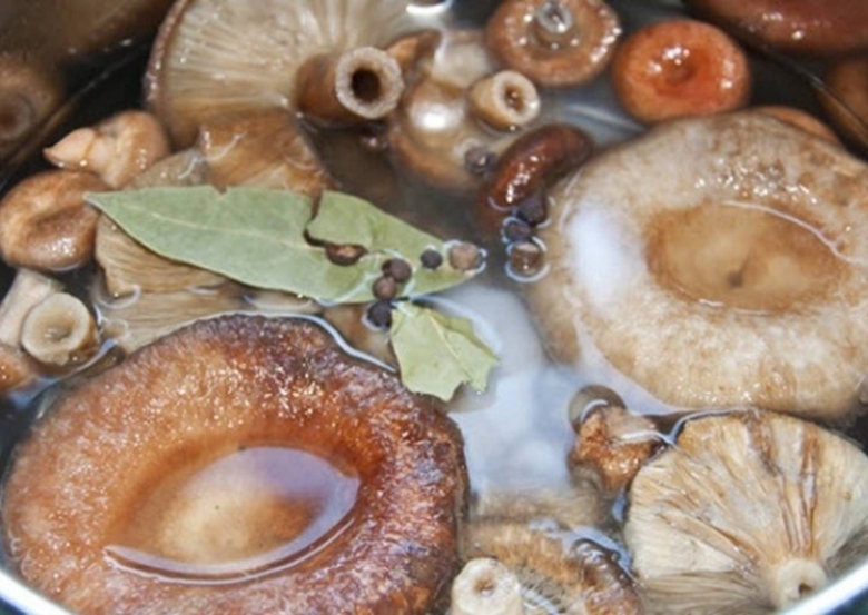 Волнушка гриб