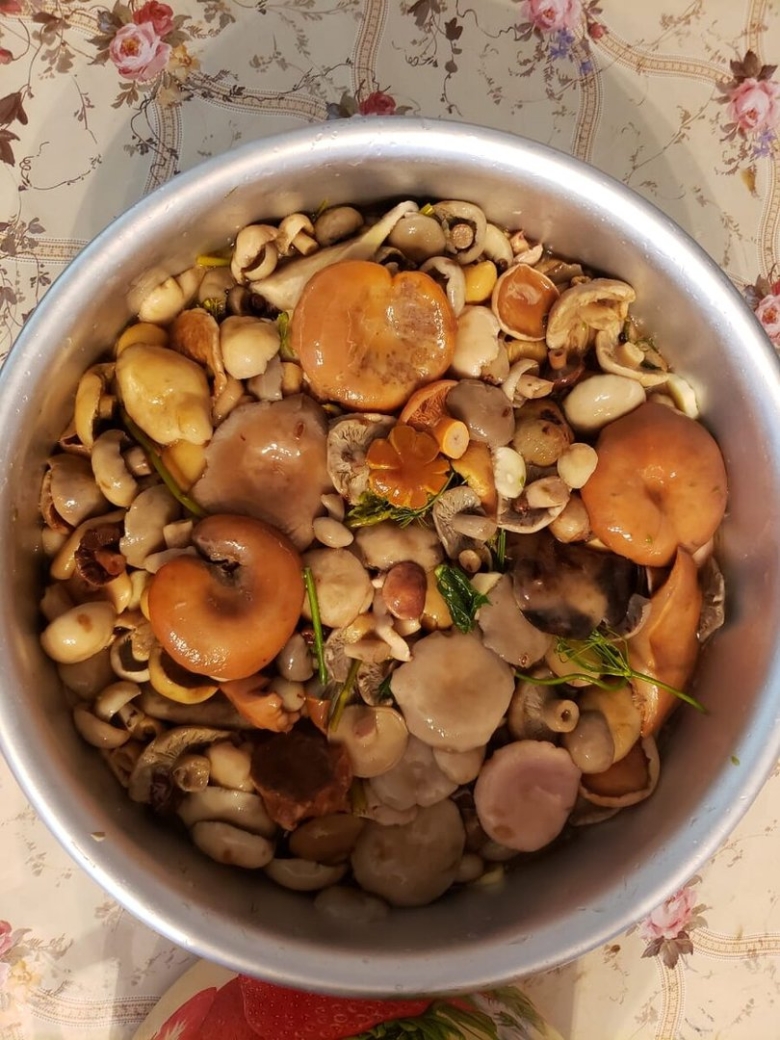 Солёные грибы