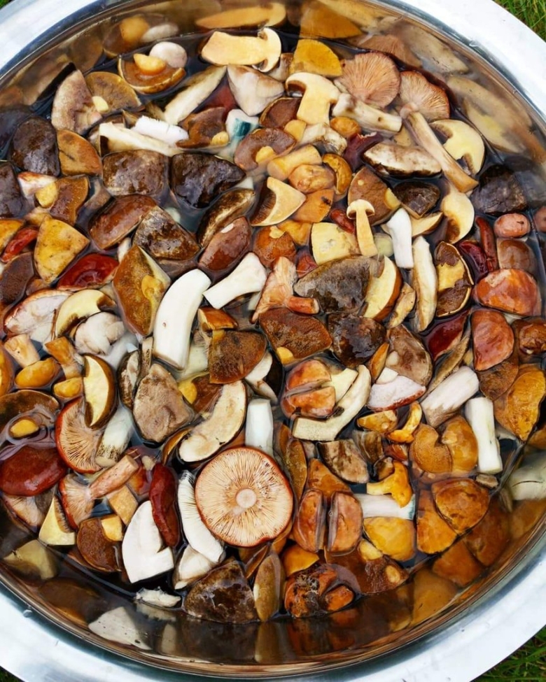 Вареные подосиновики