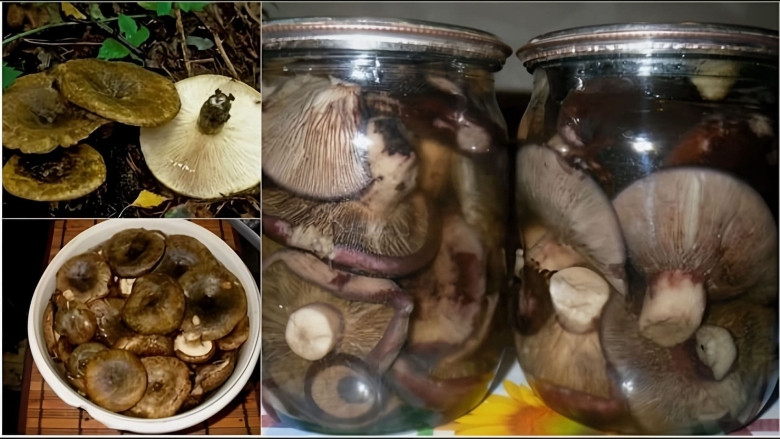 Грузди черные соленые