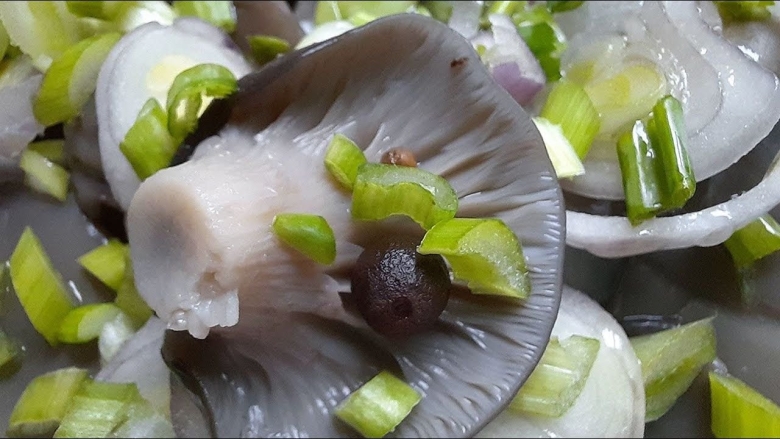 Юнона грибы вешенка