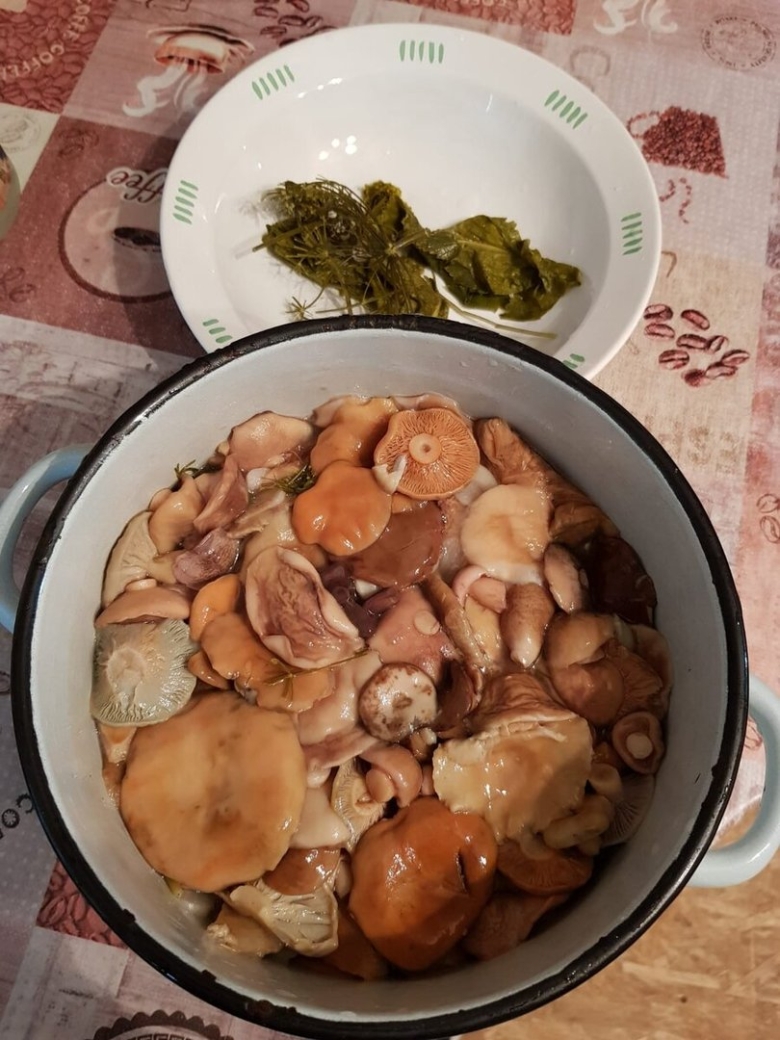 Рыжики соленые