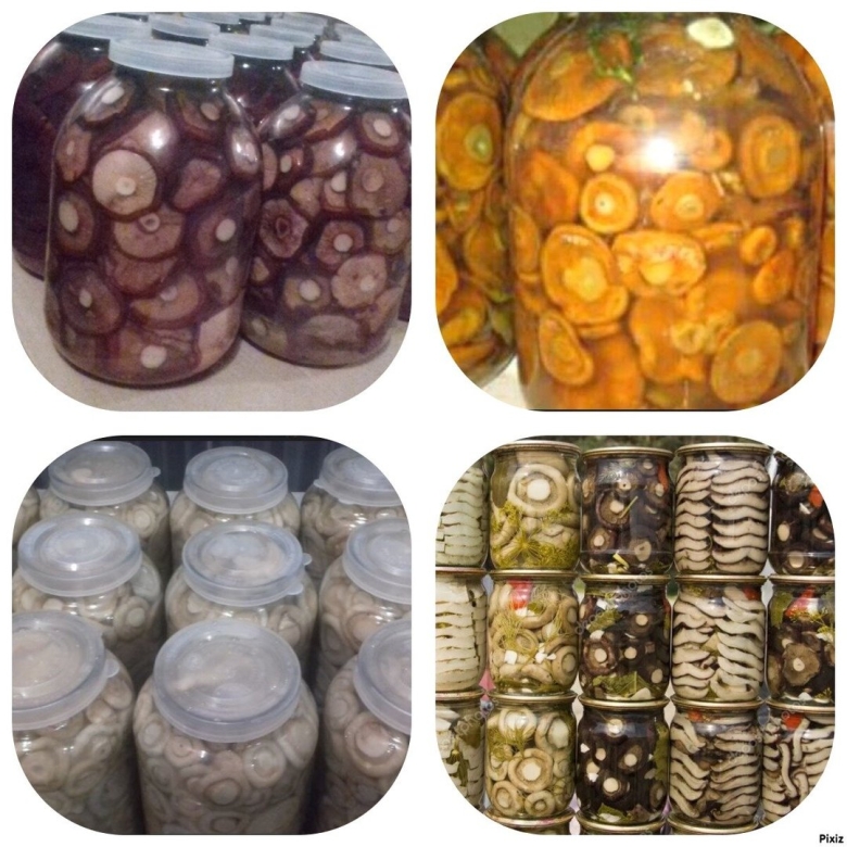 Грибы рыжики в банке