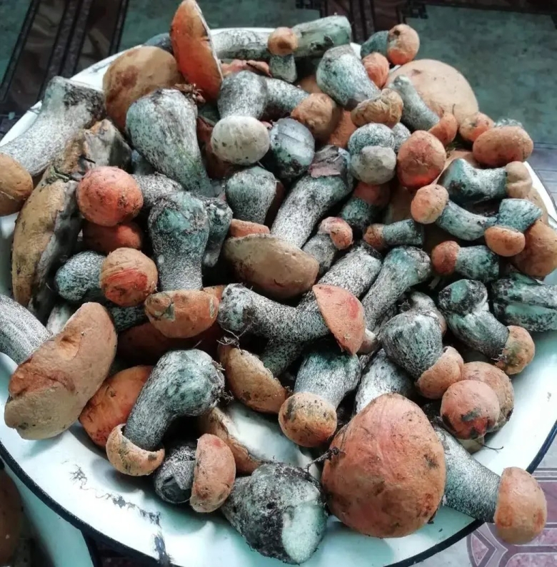 Сушеный картофель