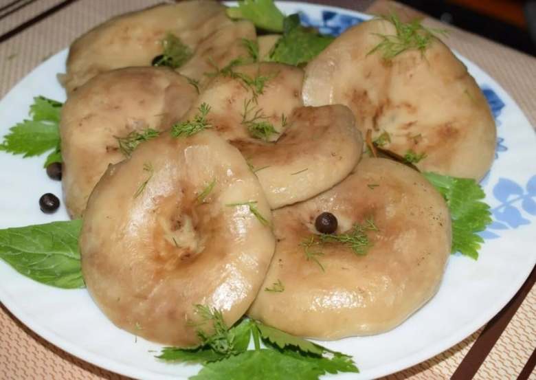 Грузди бочковые