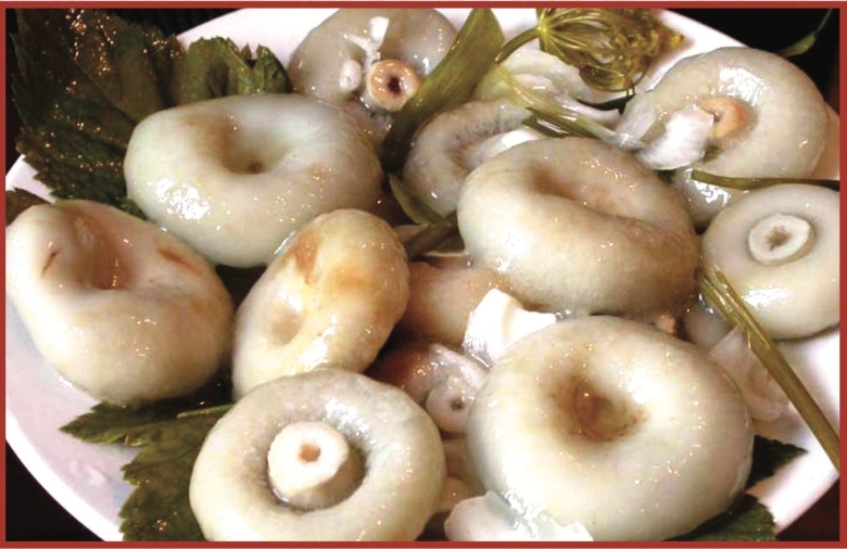 Грузди в сметане с луком нарезка