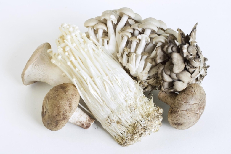 Японские грибы энокитаке