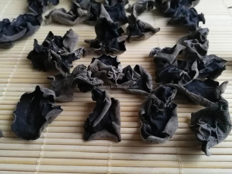 Черный китайский гриб