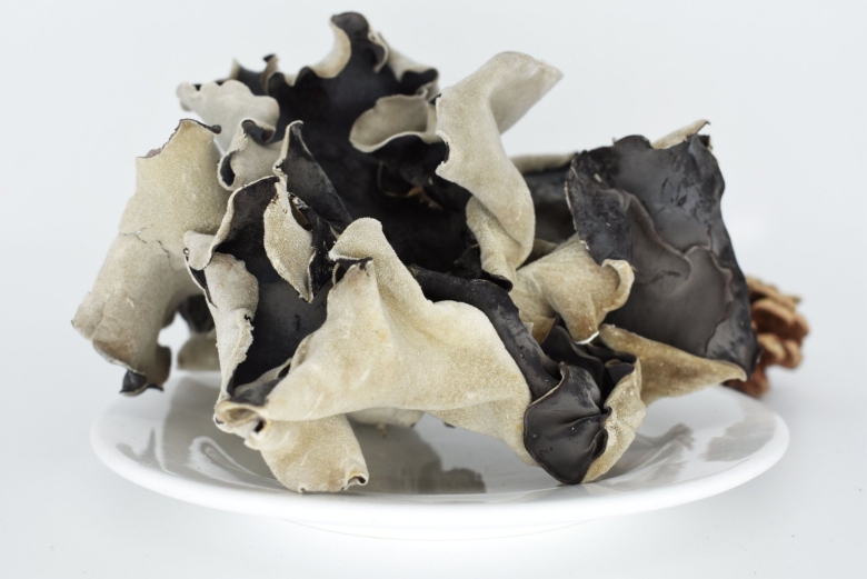 Черный древесный гриб муэр