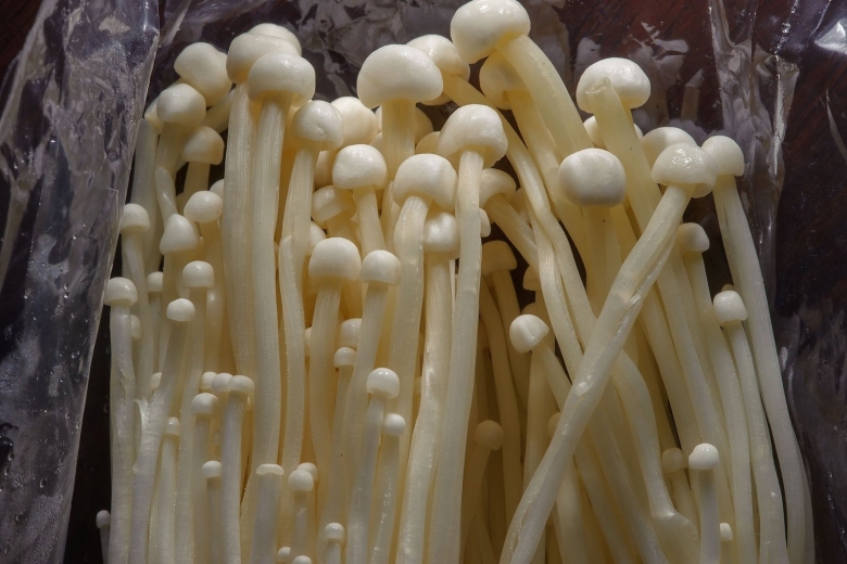 Эноки машрумс