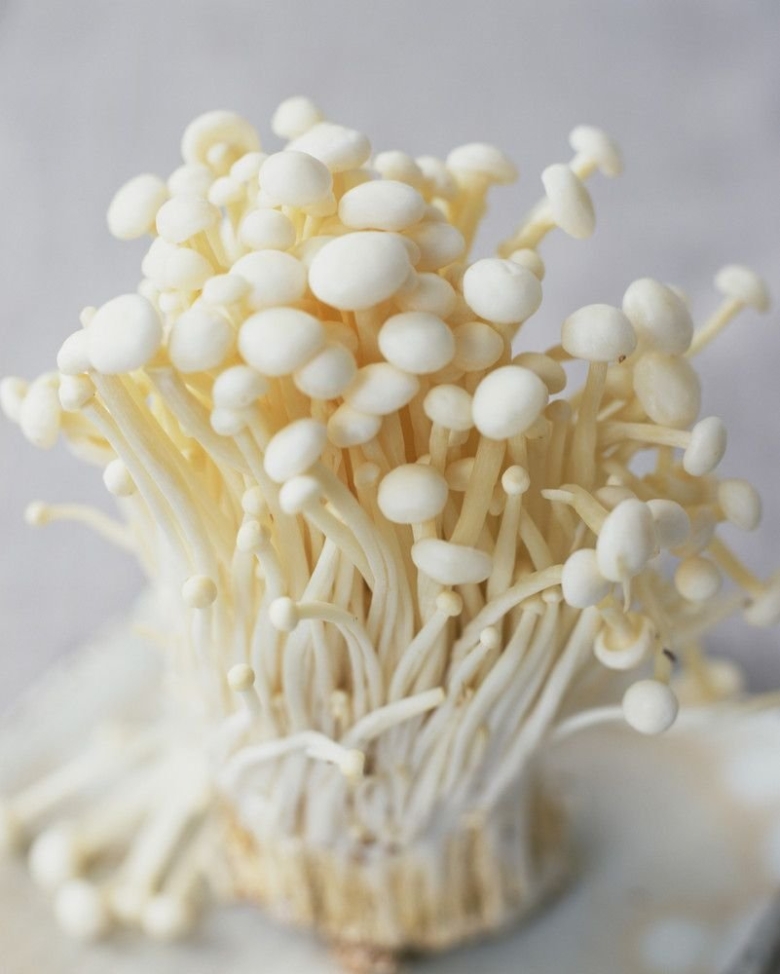 Эноки машрумс