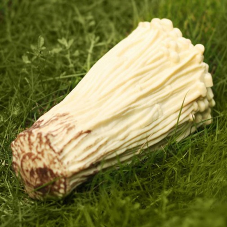 Белые длинные грибы