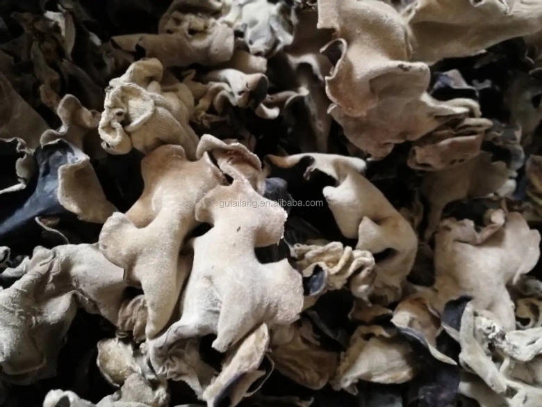 Китайские грибы