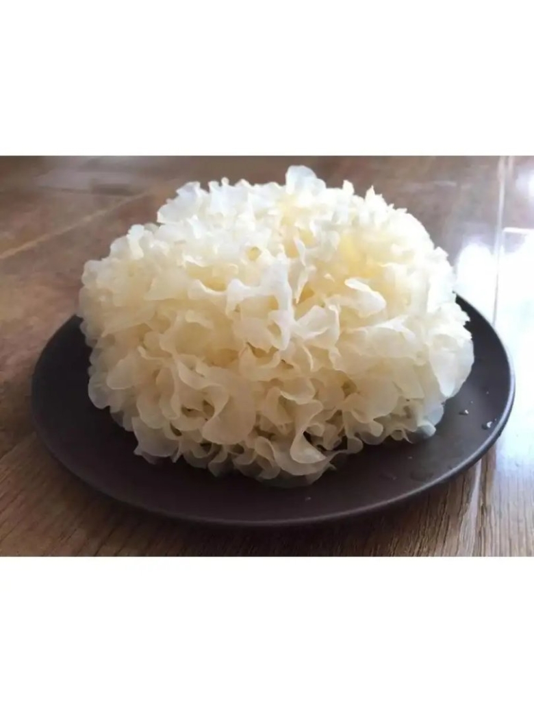 Ледяной гриб тремелла