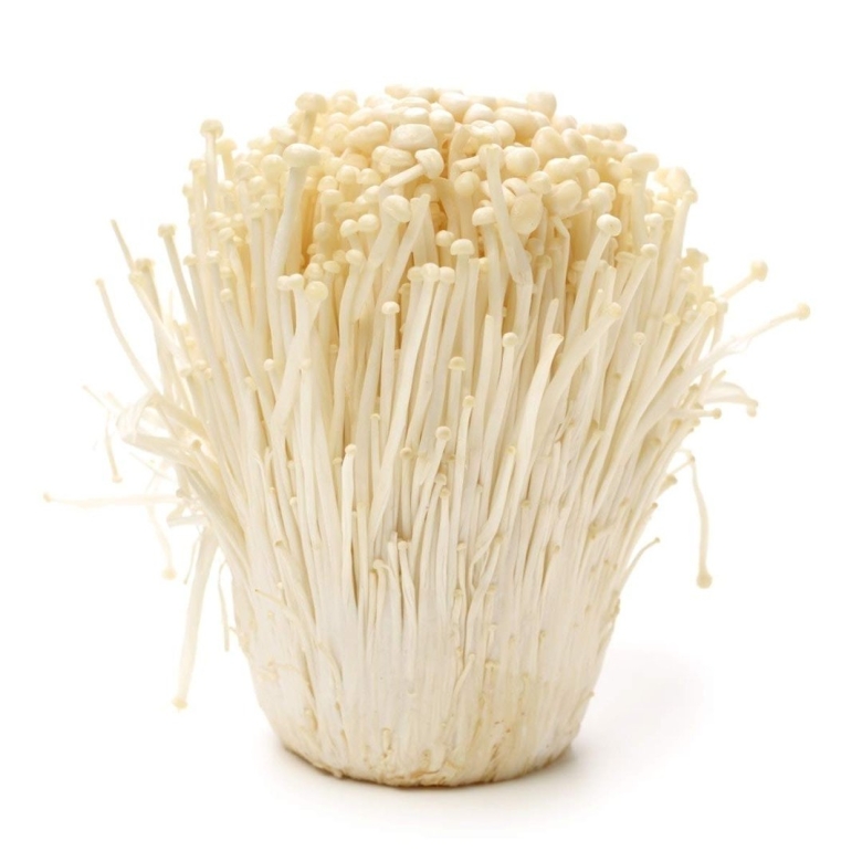 Enoki mushroom