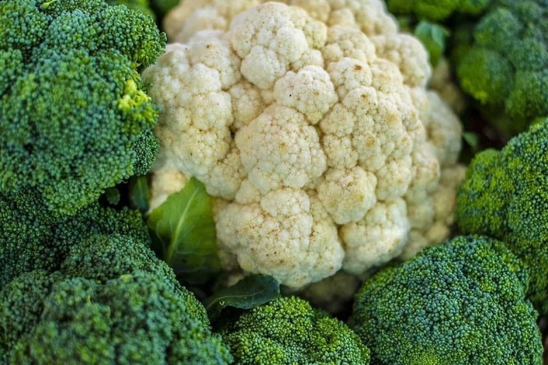 Зеленая капуста брокколи