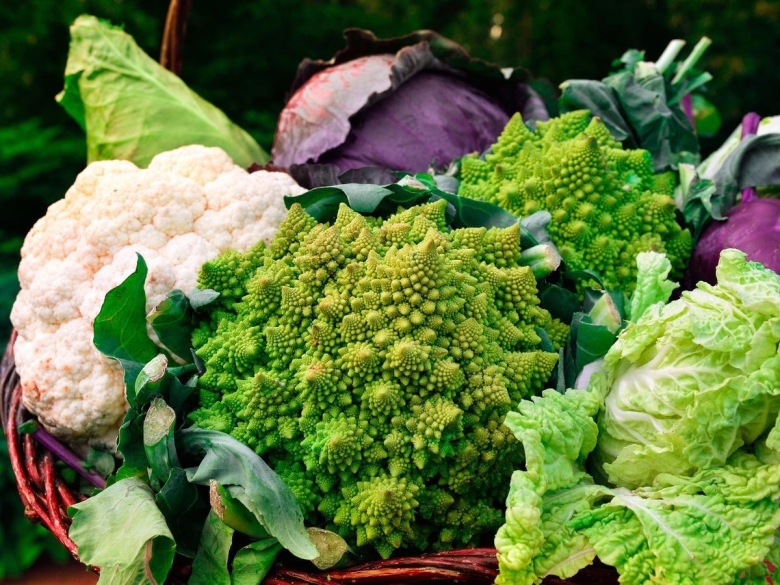 Крестоцветные брокколи