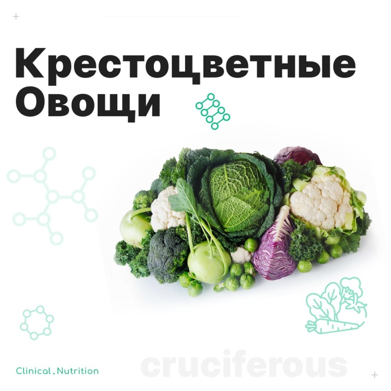 Польза крестоцветных для здоровья человека