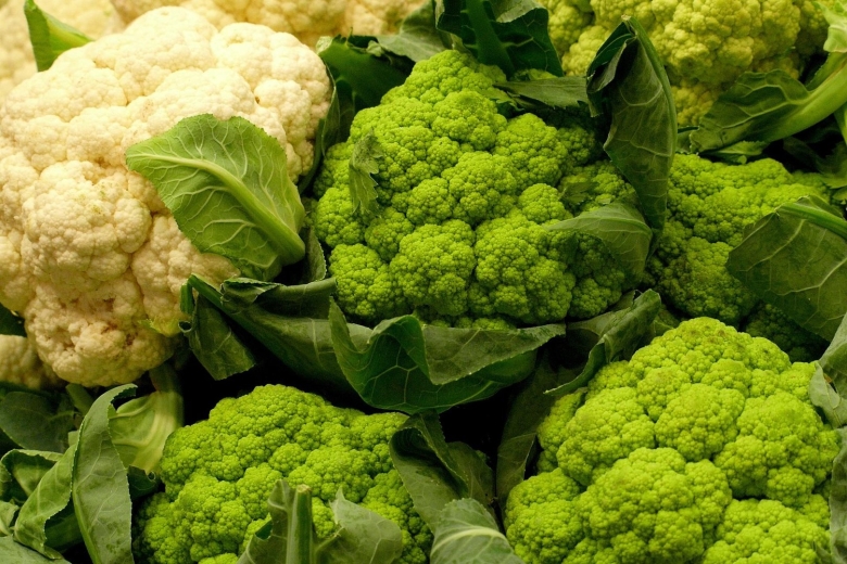 Капустные овощные растения