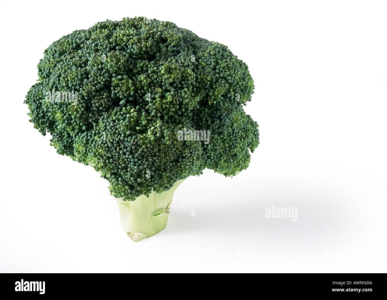 Брокколи на белом фоне