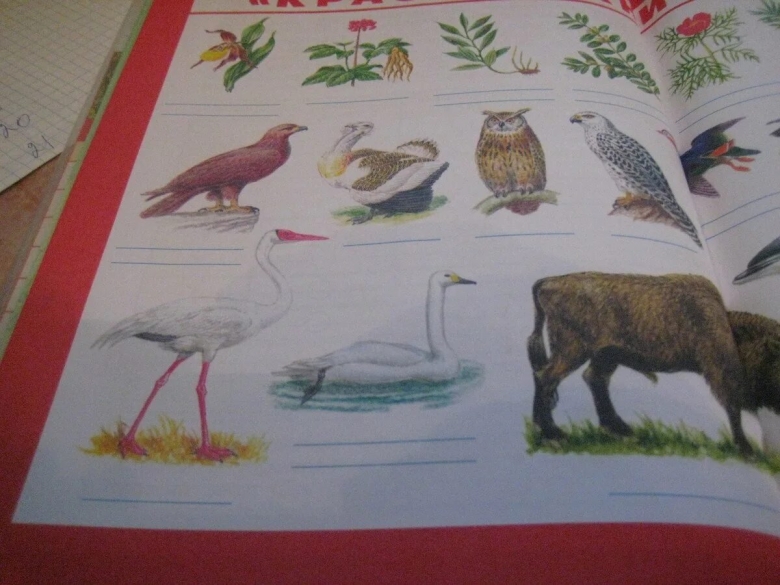 Красная книга класс окружающий мир