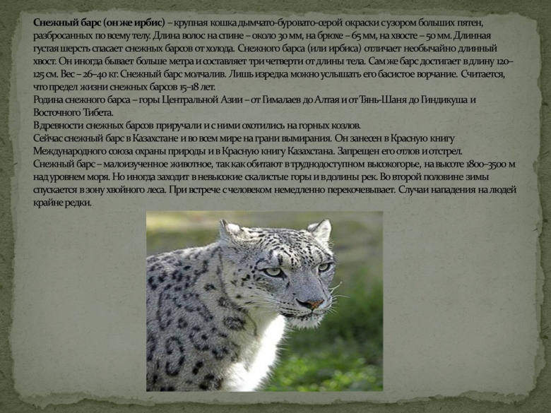 Животные красной книги Казахстана