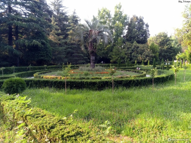 Парк южные культуры адлер