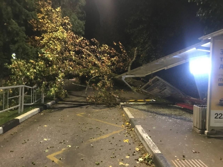 Остановка Взлетная Адлер