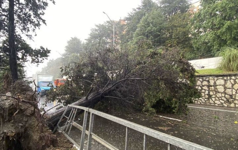 Сильный ветер в Сочи