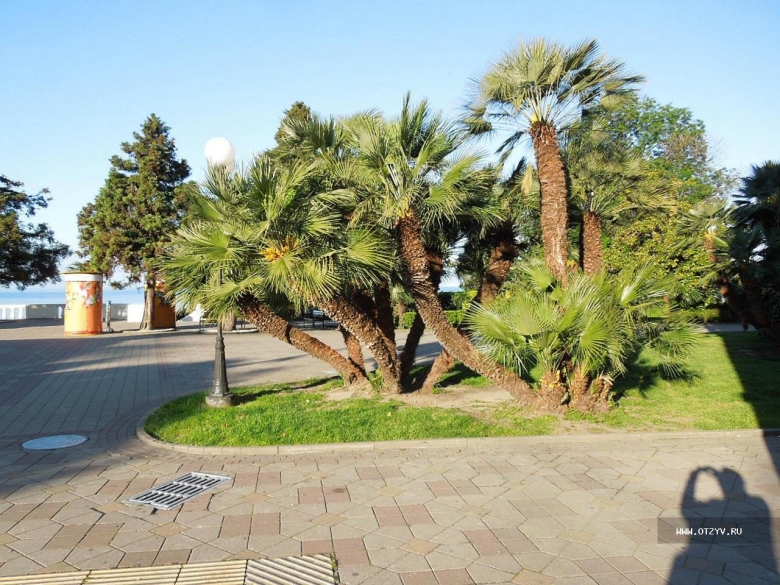 Адлер в мае