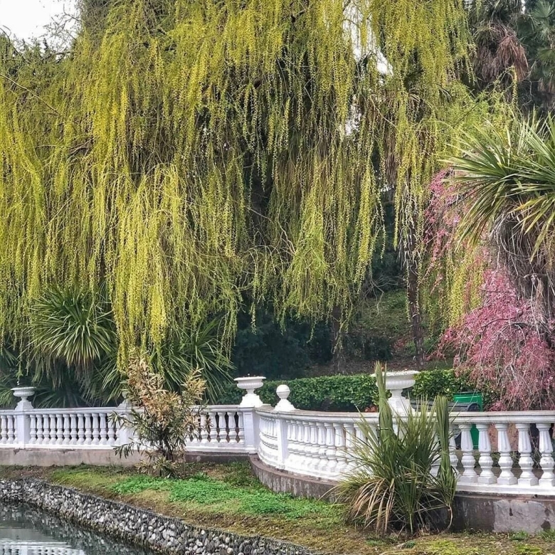 Парк южные культуры адлер