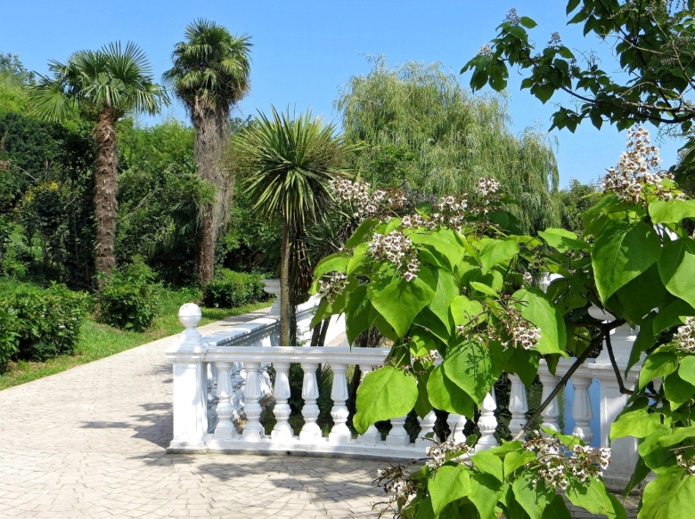 Парк южные культуры сочи