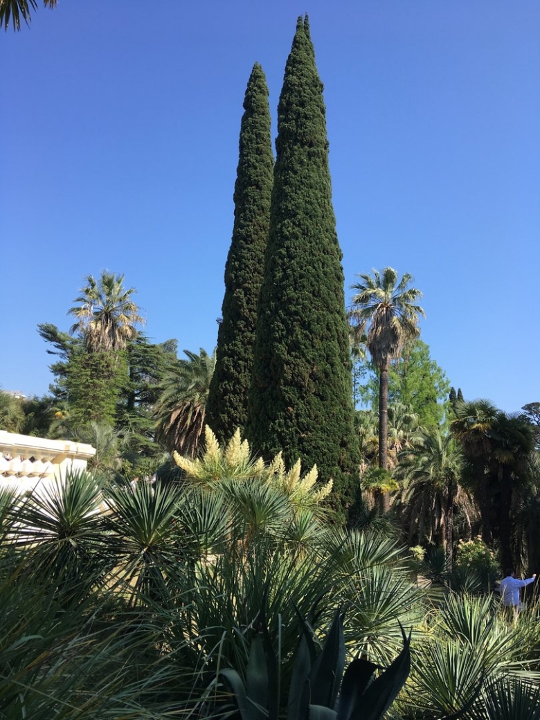 Сочинский Дендрарий