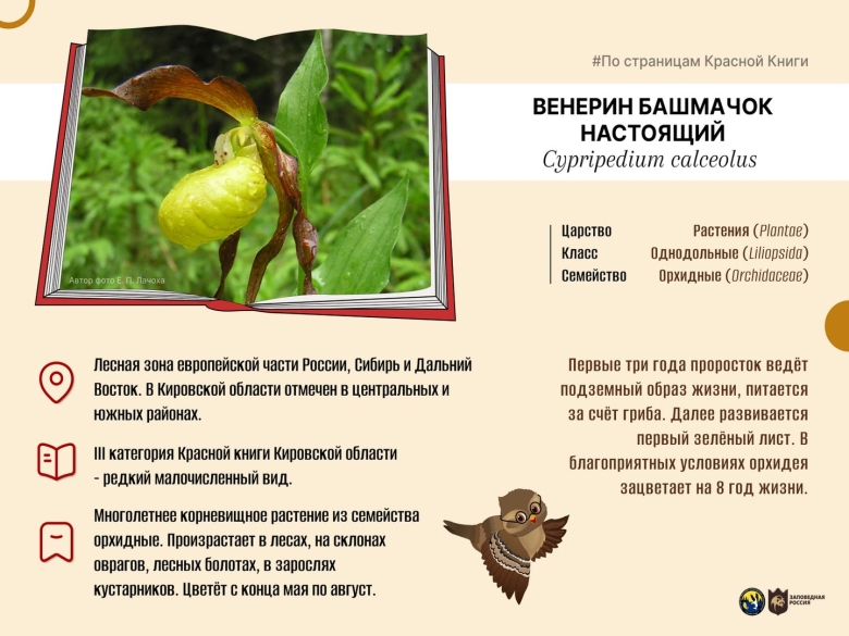 Заповедник Нургуш в Кировской области