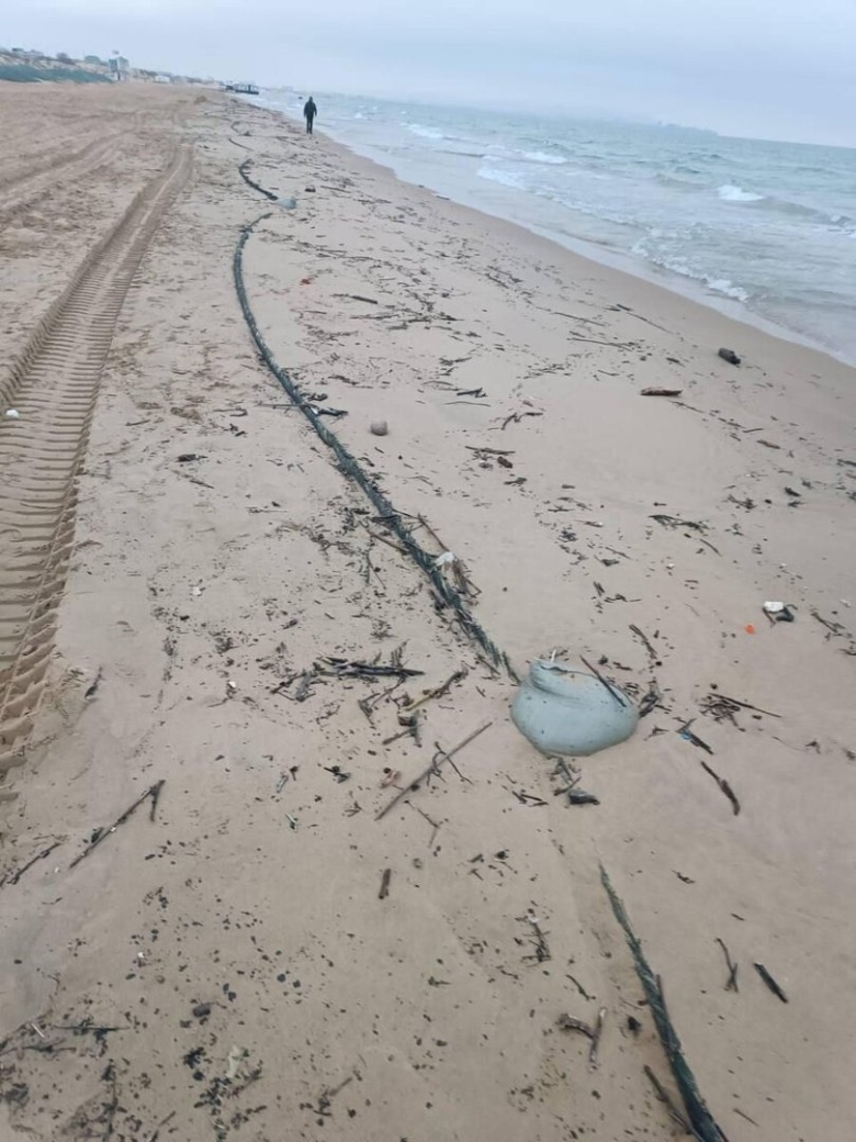 Мазут на пляжах анапы