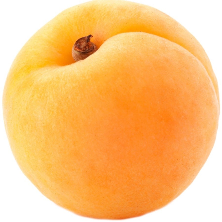 Абрикос на белом фоне