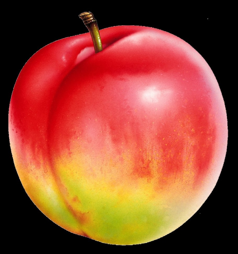 Фрукты по отдельности