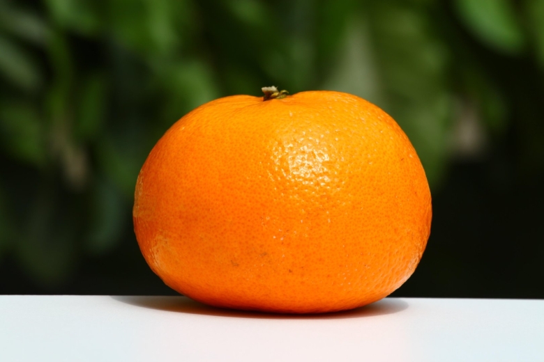 Фрукты и овощи по отдельности