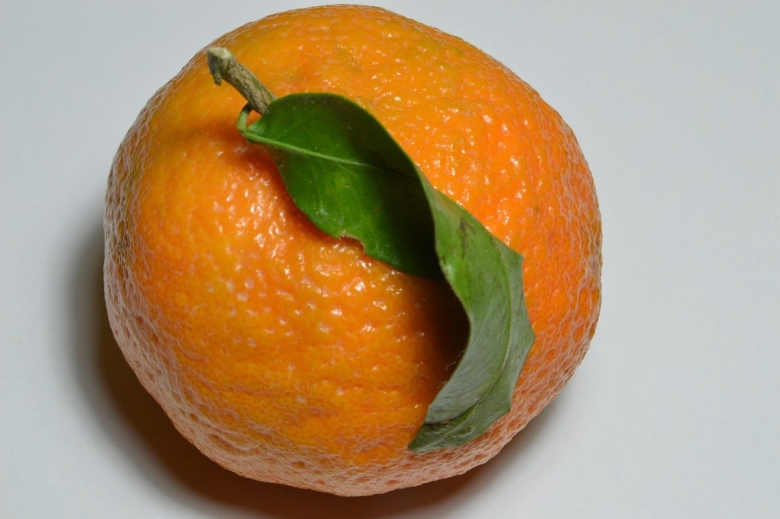 Фрукты и овощи по отдельности