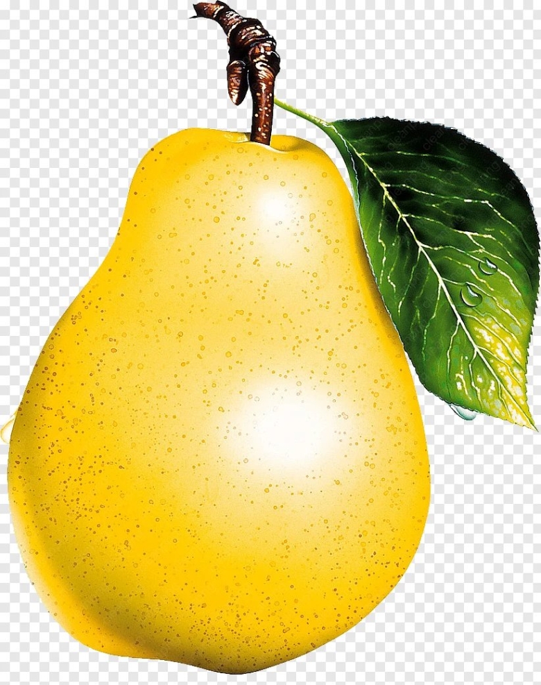 Груша рисунок для детей