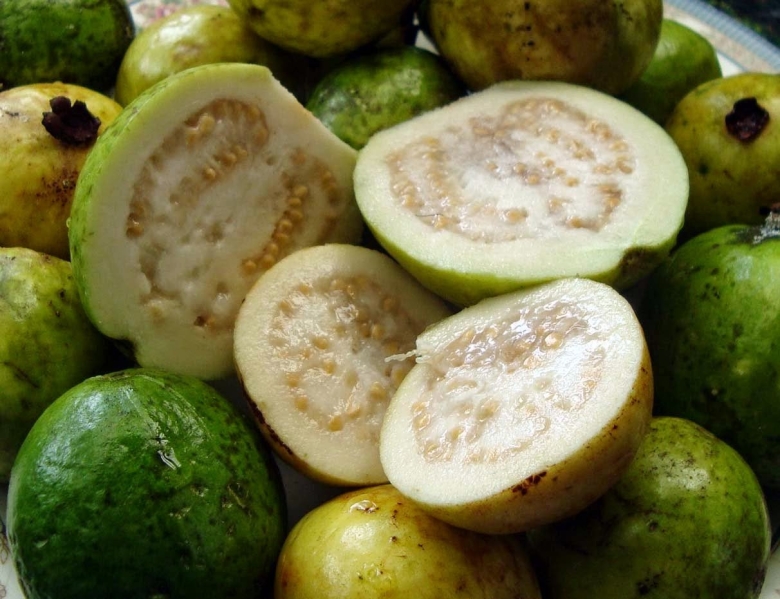 Гуава Египетский фрукт